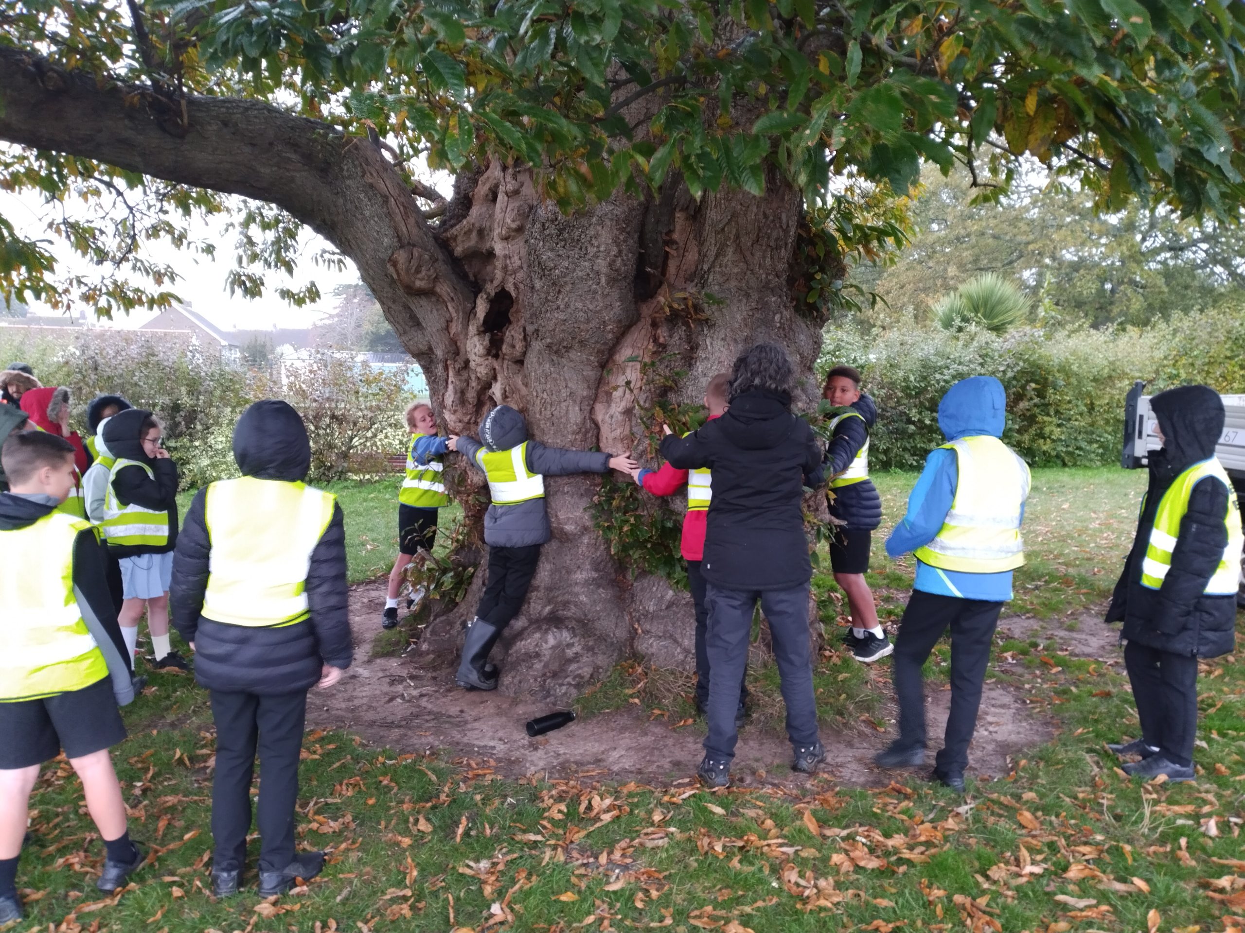 Crowdfunding campaign successfully reaches £5000 target to support trees planting projects in two West Sussex schools.