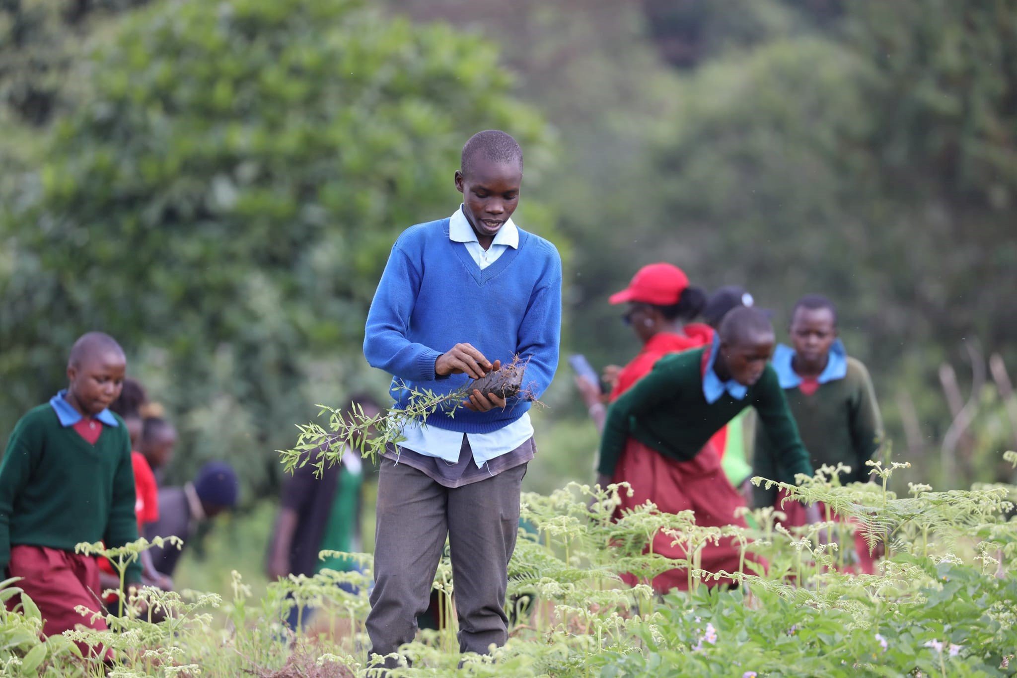 TreeAction supports Kenya school tree planting project